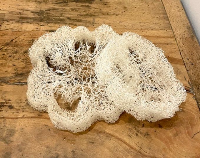 Lot de 2 éponges loofah