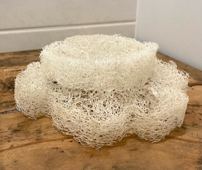 Lot de 2 éponges loofah